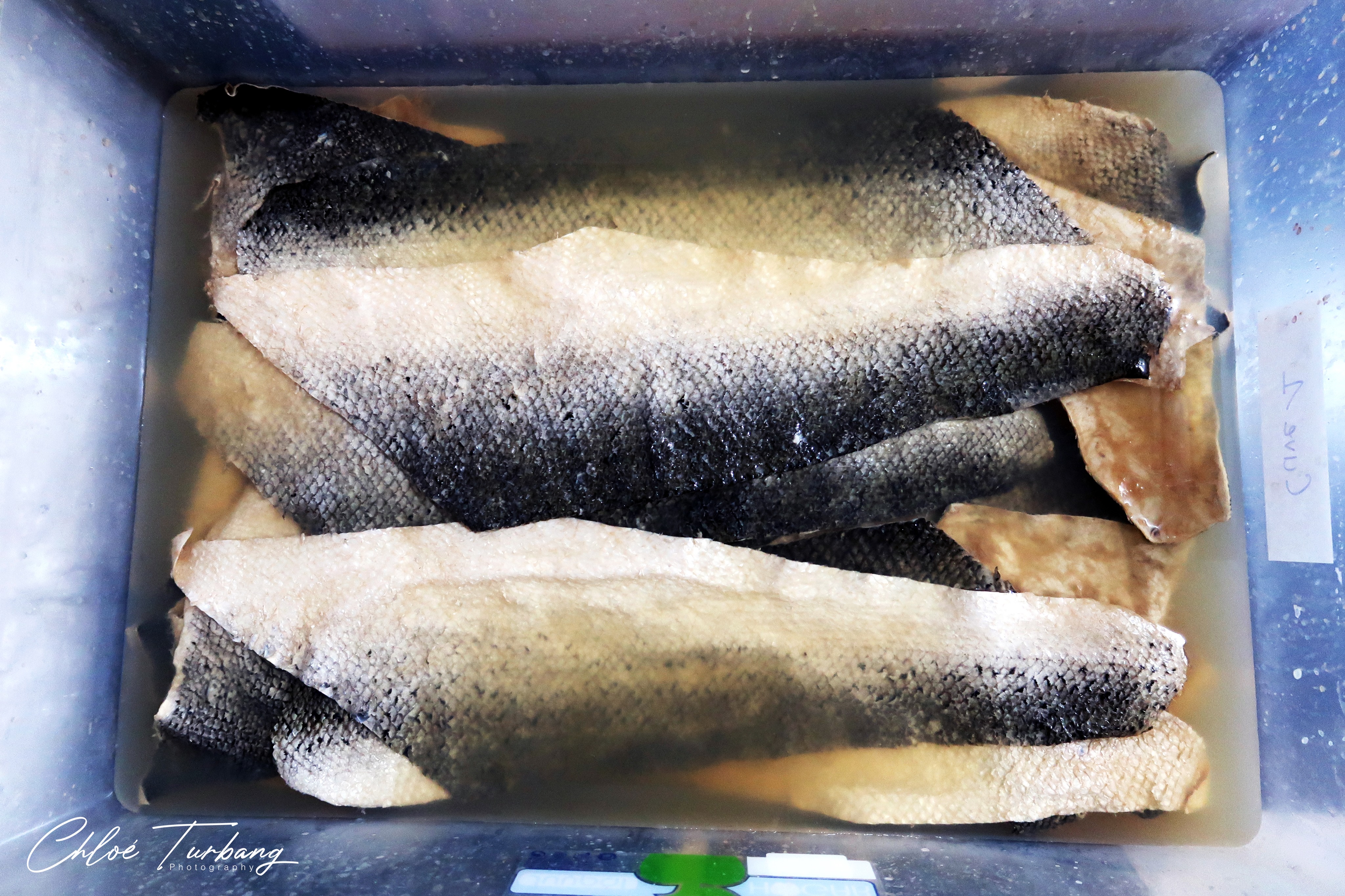 Peaux de pêche : du cuir de poisson made in Liège • Boulettes Magazine